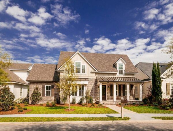 Plantation 6